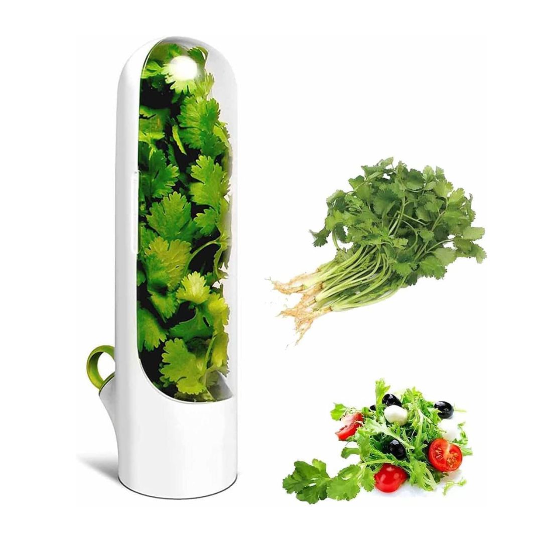 xr:d:DAFVfzqZSaU:786,j:3323694510,t:23020810 Capsule de stockage et conservation d'herbes - الصورة 1