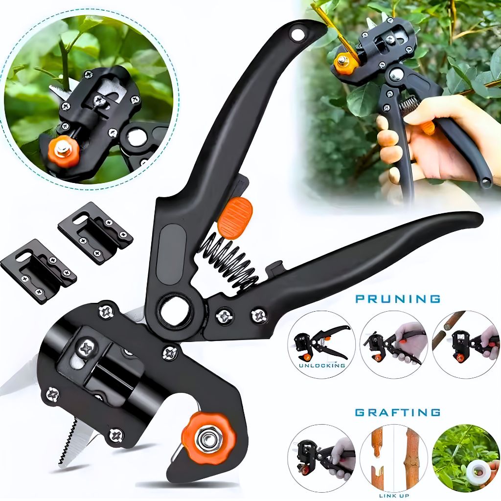 Disgne-0333-1.jpg Sécateur de greffage pour jardins 4PCs BEETRO | TC0504 – مقص تطعيم و تقليم النبات - الصورة 1
